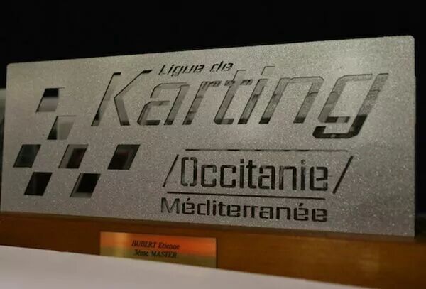 L'organisation de la LIGUE Occitanie-Méditerranée